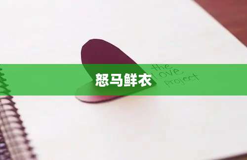 怒马鲜衣