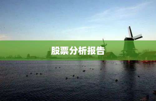 股票分析报告