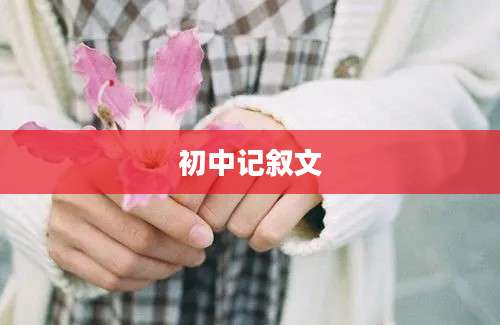 初中记叙文