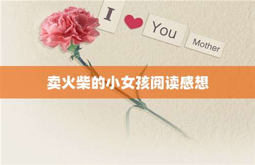 卖火柴的小女孩阅读感想