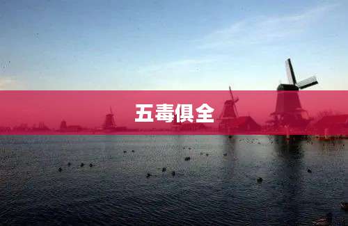 五毒俱全