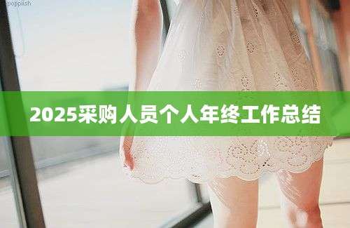 2025采购人员个人年终工作总结
