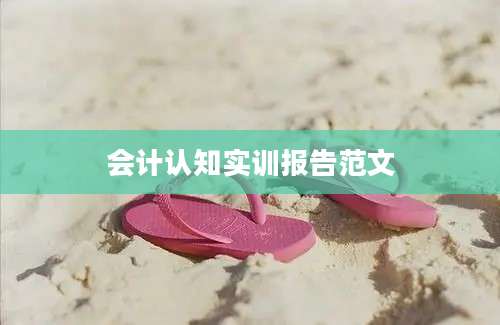 会计认知实训报告范文
