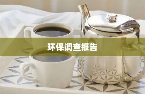 环保调查报告