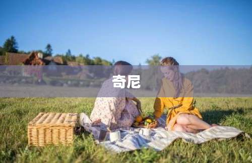奇尼