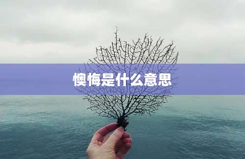 懊悔是什么意思