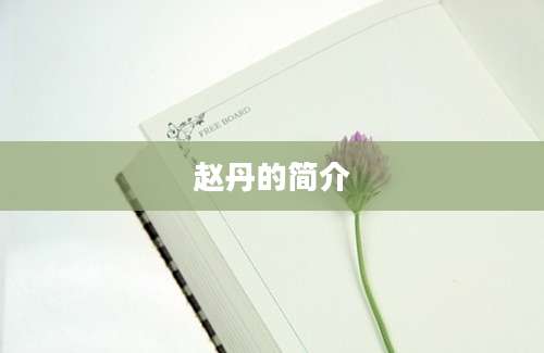 赵丹的简介