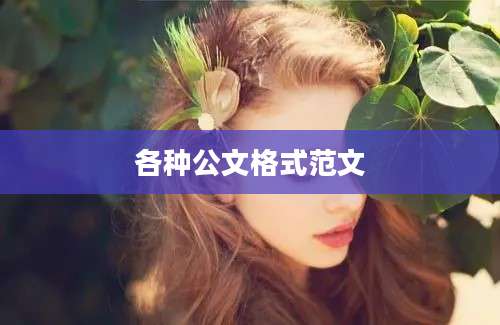 各种公文格式范文