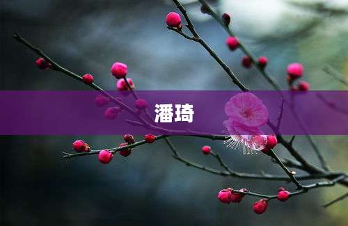 潘琦
