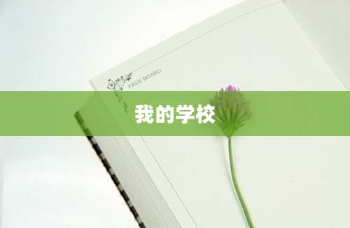 我的学校