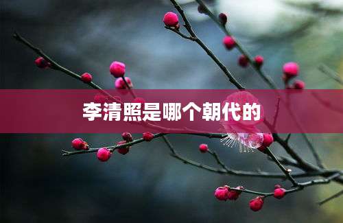 李清照是哪个朝代的