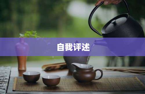 自我评述