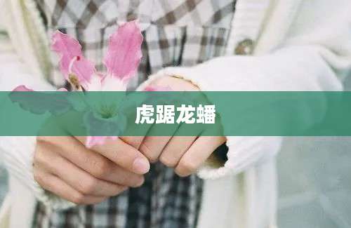虎踞龙蟠