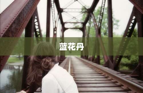 蓝花丹