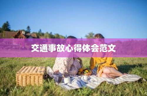 交通事故心得体会范文
