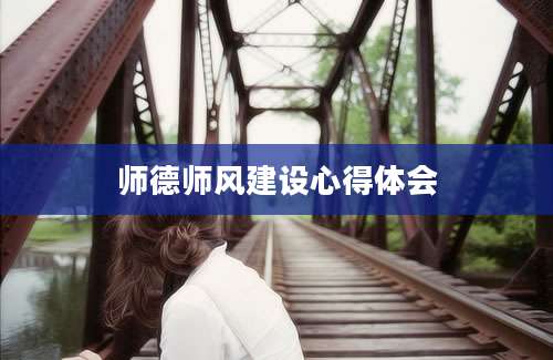 师德师风建设心得体会
