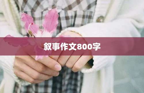 叙事作文800字