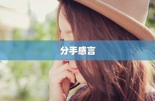 分手感言