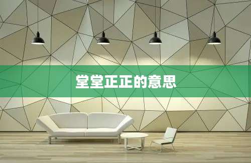 堂堂正正的意思