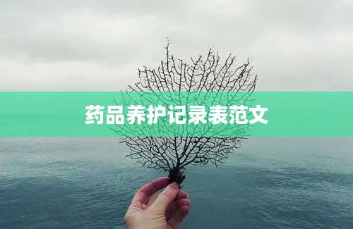 药品养护记录表范文