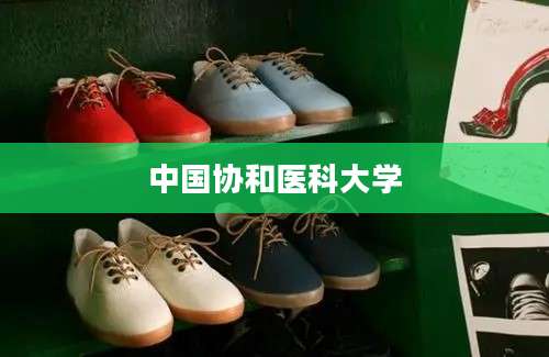 中国协和医科大学