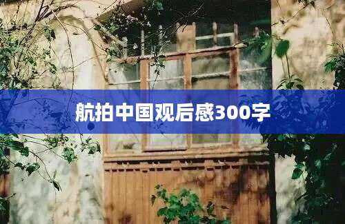 航拍中国观后感300字