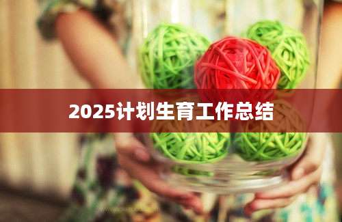 2025计划生育工作总结
