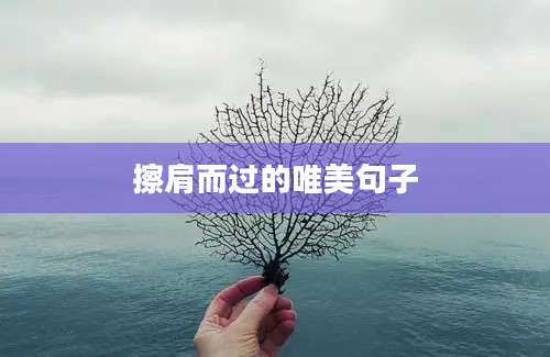 擦肩而过的唯美句子