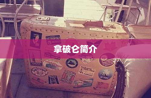 拿破仑简介