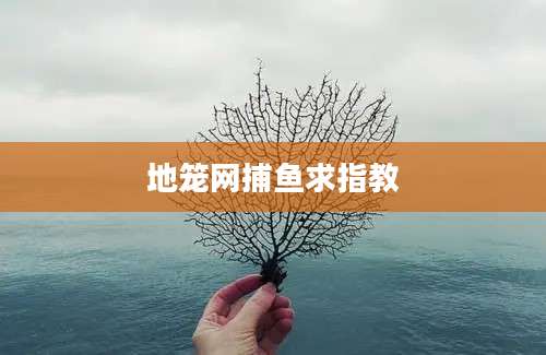 地笼网捕鱼求指教