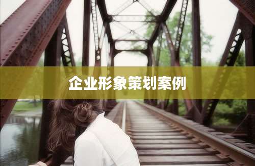 企业形象策划案例