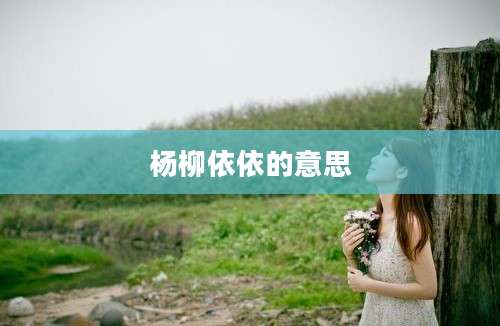 杨柳依依的意思