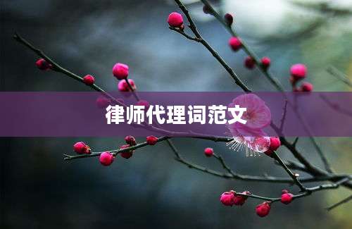 律师代理词范文