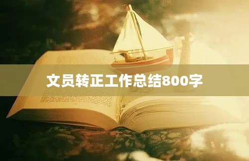 文员转正工作总结800字