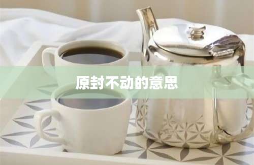 原封不动的意思