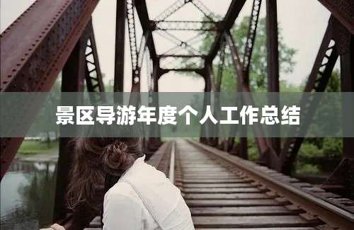 景区导游年度个人工作总结
