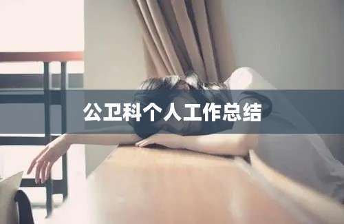公卫科个人工作总结
