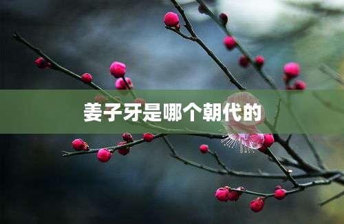 姜子牙是哪个朝代的