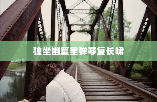 独坐幽篁里弹琴复长啸