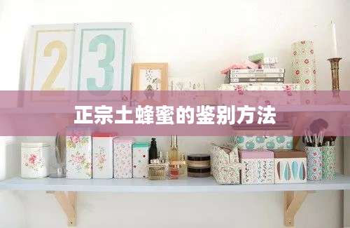 正宗土蜂蜜的鉴别方法