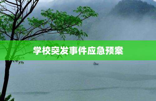 学校突发事件应急预案