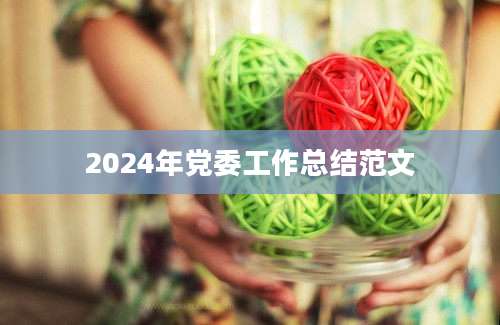 2024年党委工作总结范文