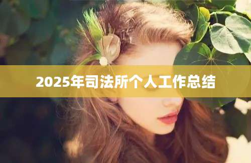 2025年司法所个人工作总结