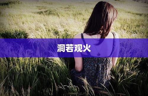 洞若观火