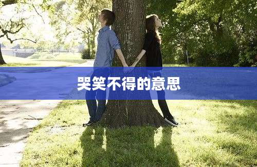 哭笑不得的意思
