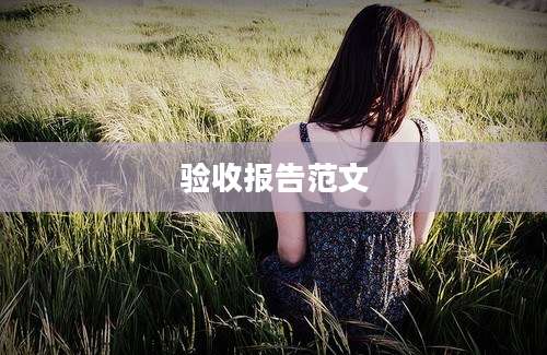 验收报告范文