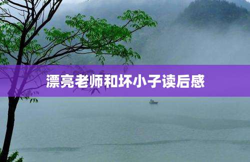 漂亮老师和坏小子读后感