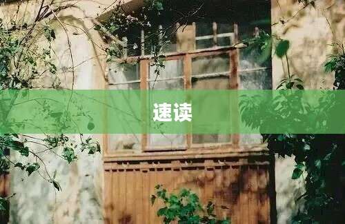 速读
