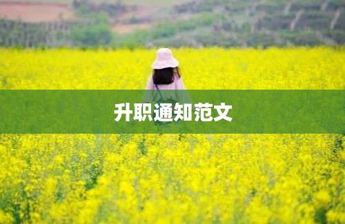 升职通知范文