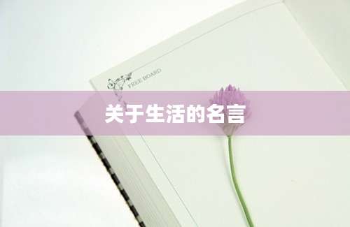 关于生活的名言